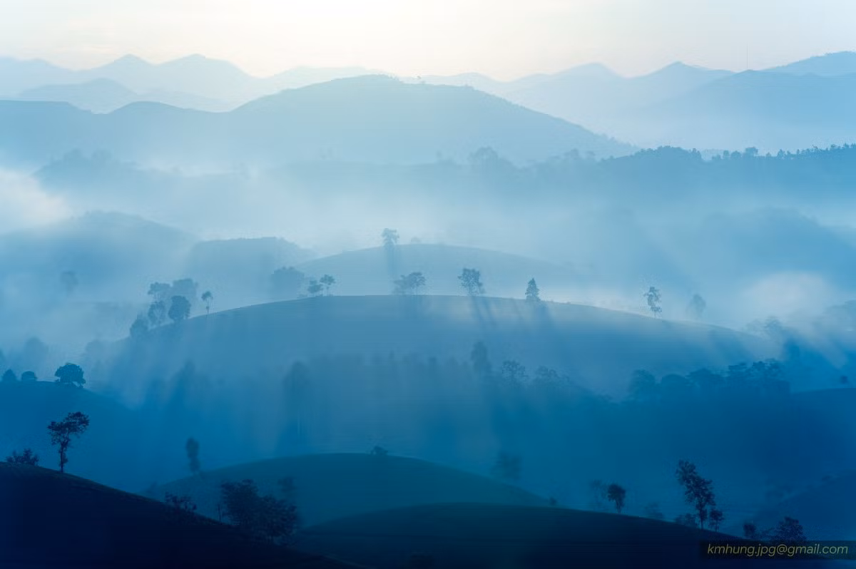 Khi màn đêm buông xuống, Long Cốc lại đón chào một khoảnh khắc không kém phần kỳ diệu: bình minh. Lúc này, những đồi chè dần hiện ra trong lớp sương mỏng manh, mờ ảo. Ảnh Kim Hưng