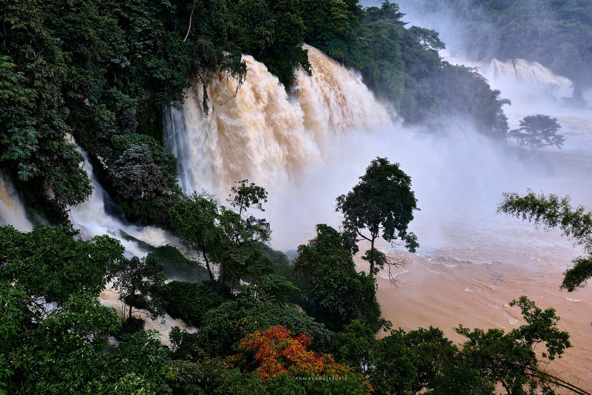Những ngày đầu tháng 10, hình ảnh thác Bản Giốc (Cao Bằng) đổ ào ạt, cuồn cuộn dòng nước đục ngầu, khác hẳn vẻ êm đềm thường thấy, đang được chia sẻ rộng rãi trên mạng xã hội. Ảnh Thái Dương AC