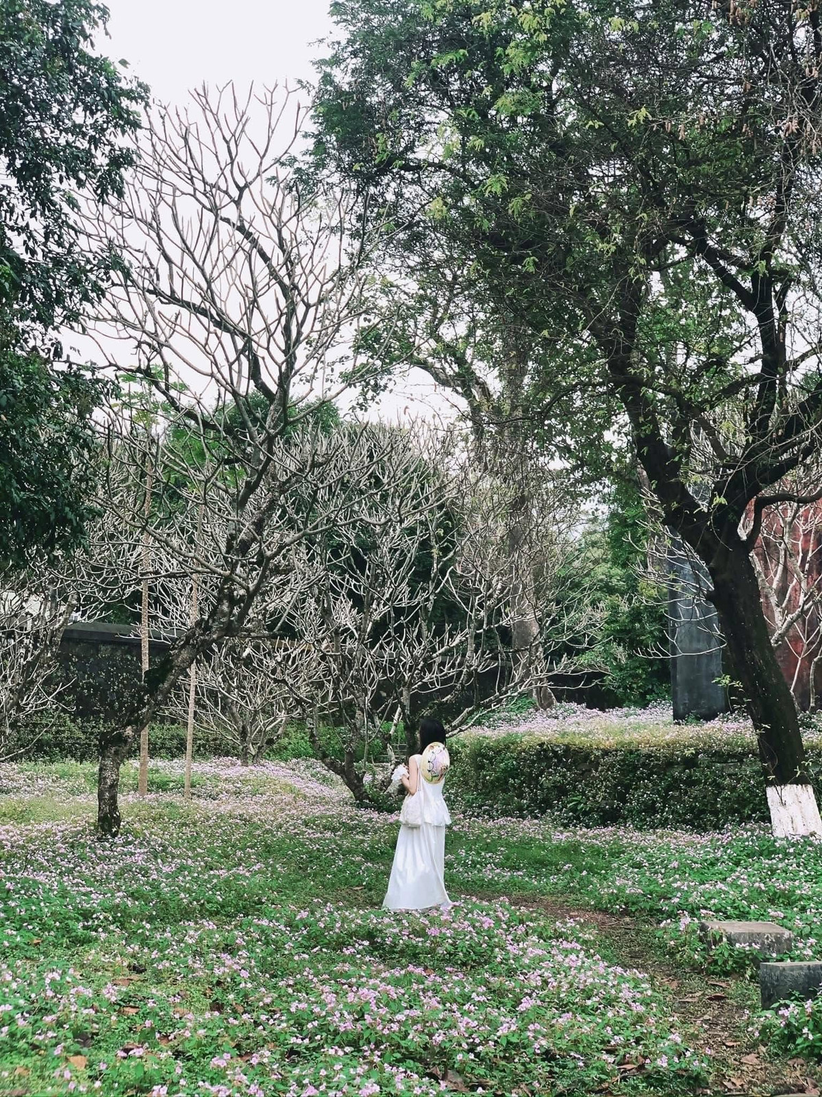 Khoản chi đầu tiên dễ khiến du khách “chùn tay” khi lên kế hoạch chính là tiền di chuyển. Vé máy bay khứ hồi đi Huế hiện dao động khoảng 2,5 – 2,8 triệu đồng mỗi người, con số khá cao với những chuyến đi ngắn ngày.