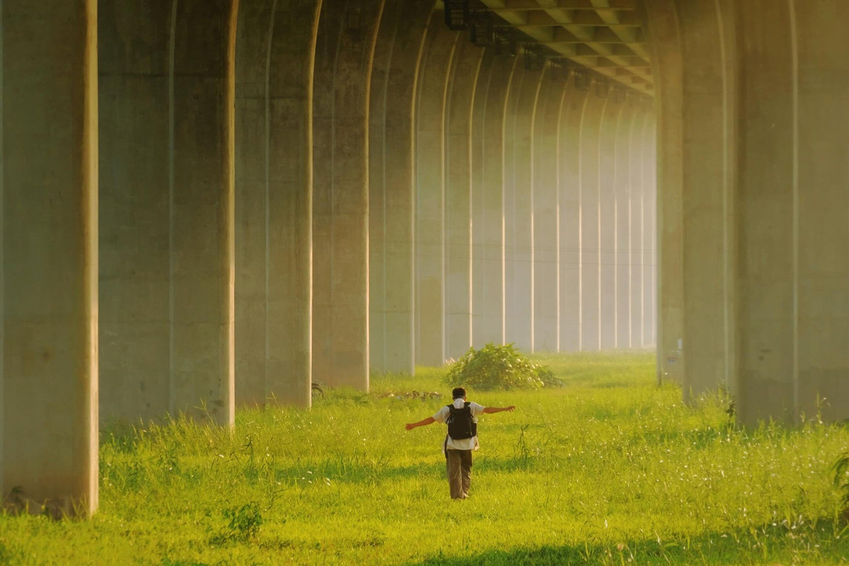 Điểm cuốn hút nhất của khu vực dạ cầu này chính là bố cục không gian mang tính thị giác cao. Các trụ cầu chạy dài theo trục thẳng, tạo hiệu ứng chiều sâu rõ rệt, khiến mọi góc nhìn đều trở nên ấn tượng. Trong ánh sáng tự nhiên, sự tương phản giữa sắc xanh của cỏ, sắc xám của bê tông và bầu trời rộng mở mang đến cảm giác như đang bước vào một khung hình điện ảnh. Ảnh Tuyên Parafu