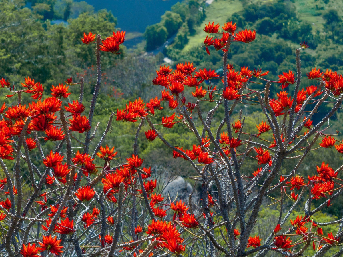 Theo khảo sát từ một số công ty lữ hành, tour tham quan núi Bà Đen kết hợp ghé thăm Tòa Thánh Cao Đài Tây Ninh trong ngày hiện có giá khoảng 700.000 – 1,3 triệu đồng/người, tùy chương trình và dịch vụ đi kèm.