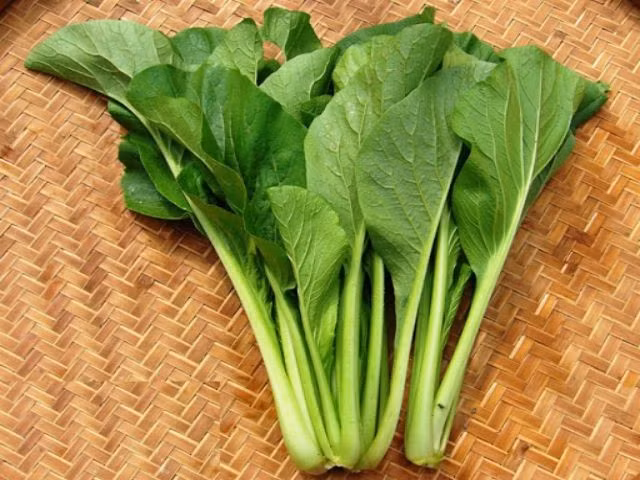 Rau cải ngọt, quen thuộc trong bữa cơm hàng ngày, không chỉ nhờ hương vị thanh mát, dễ ăn mà còn chứa nhiều dưỡng chất quý giá. Ít người biết, loại rau tưởng đơn giản này thực chất là “kho dinh dưỡng” mang lại nhiều lợi ích sức khỏe bất ngờ. Ảnh minh họa