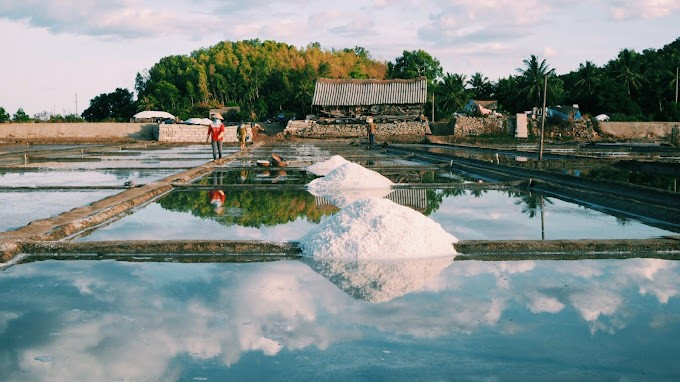 Không chỉ là điểm đến du lịch lý tưởng cho những ai yêu thiên nhiên và văn hóa, mà còn là nơi mang đến trải nghiệm chân thực về cuộc sống nông dân truyền thống miền Trung. Hành trình về với cánh đồng muối, kết hợp tour uy tín, chắc chắn sẽ để lại trong lòng du khách nhiều cảm xúc và kỷ niệm khó quên. Ảnh luahnhvietnam