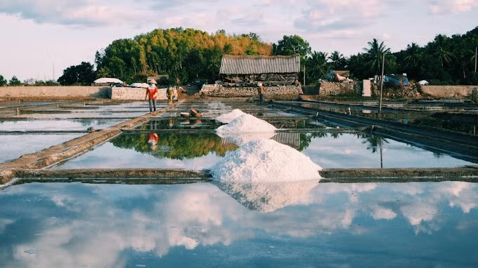 Không chỉ là điểm đến du lịch lý tưởng cho những ai yêu thiên nhiên và văn hóa, mà còn là nơi mang đến trải nghiệm chân thực về cuộc sống nông dân truyền thống miền Trung. Hành trình về với cánh đồng muối, kết hợp tour uy tín, chắc chắn sẽ để lại trong lòng du khách nhiều cảm xúc và kỷ niệm khó quên. Ảnh luahnhvietnam