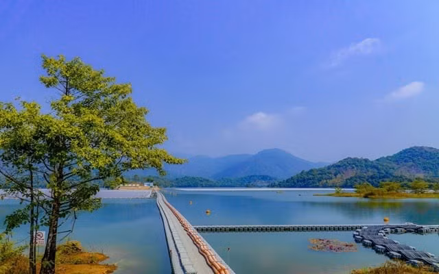 Từ trên cao nhìn xuống, hồ Hàm Thuận tựa như một dải lụa xanh mềm mại uốn quanh những triền đồi thấp, xen lẫn là tám hòn đảo nhỏ rải rác giữa lòng hồ. Bao quanh là những cánh rừng thông và rừng nguyên sinh xanh thẳm, nơi tiếng chim ríu rít hòa cùng tiếng gió vi vu qua tán lá. Ảnh dulichviet