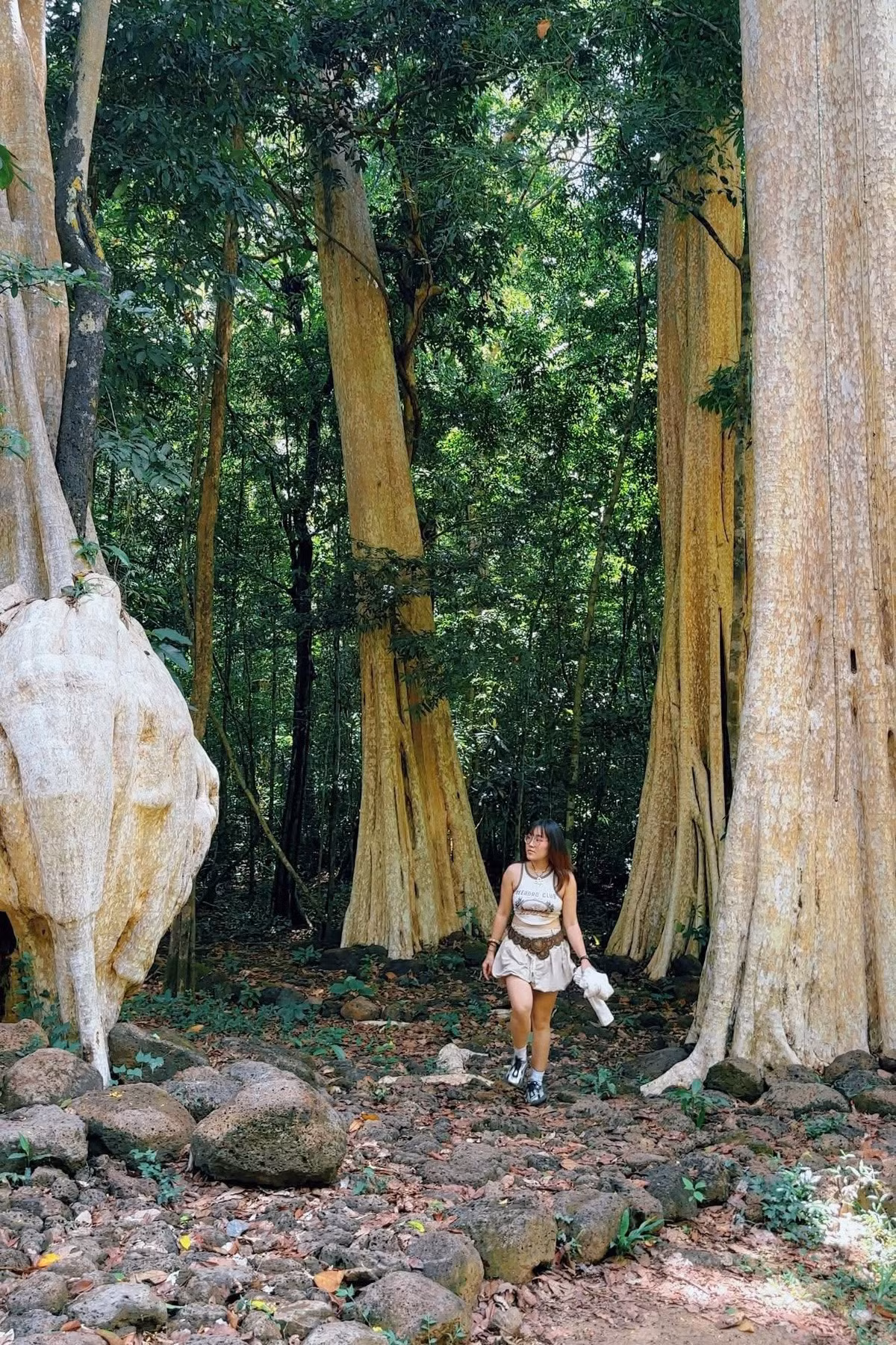 Hành trình kết thúc khi trời chạng vạng. Du khách có thể lựa chọn về lại TP HCM trong ngày hoặc nghỉ lại tại các nhà nghỉ sinh thái quanh khu vực. Một ngày tuy ngắn ngủi nhưng đủ để cảm nhận vẻ đẹp nguyên sơ và sức sống mãnh liệt của Nam Cát Tiên – một trong những “lá phổi xanh” quý giá của đất phương Nam.