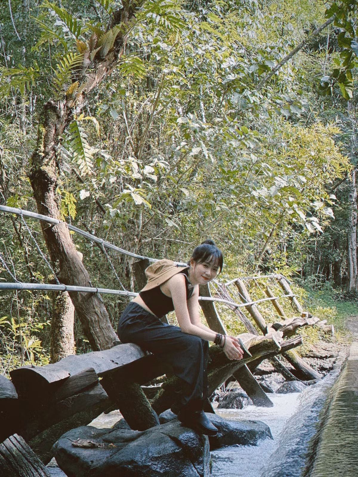Trên đường đi, không khó để bắt gặp những cây cổ thụ rễ nổi, những mảng nấm lạ nhiều màu sắc hay tiếng vượn hú vọng từ xa. Những vạt rừng già với thảm thực vật dày đặc và ánh nắng chiếu xuyên tán cây tạo nên khung cảnh đầy mê hoặc, vừa kỳ bí vừa bình yên. Ảnh Phương Quỳnh