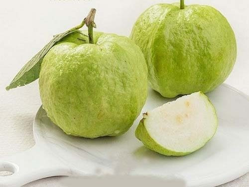 Ổi là loại quả quen thuộc nhưng lại ẩn chứa nhiều lợi ích bất ngờ. Ăn đúng cách sau bữa ăn, gọt vỏ, nhai kỹ và không lạm dụng nước ép – sẽ giúp cơ thể kiểm soát tốt đường huyết, hạn chế biến chứng tiểu đường và duy trì sức khỏe ổn định mỗi ngày. Ảnh minh họa