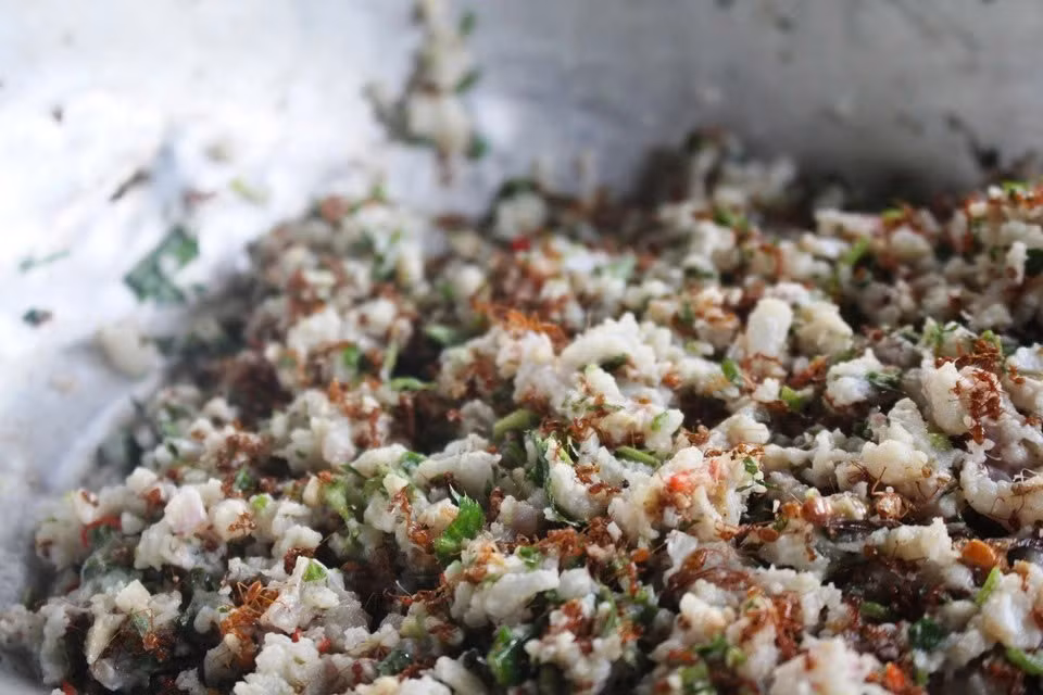 Người Rơ Măm là một trong những dân tộc ít người nhất ở Việt Nam, với chưa đầy 500 nhân khẩu sống tập trung tại làng Le. Gắn bó lâu đời với rừng, họ sở hữu một kho tàng ẩm thực hoang dã, trong đó cá gỏi kiến vàng (tiếng Rơ Măm gọi là Plat) là món quý hiếm nhất – vừa bổ dưỡng, vừa mang giá trị văn hóa sâu sắc. Ảnh danviet