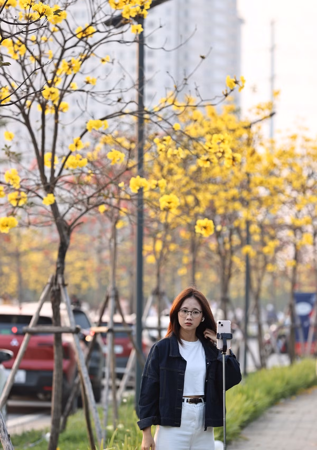 Theo nhiều người dân, phong linh thường chỉ nở trong khoảng hai đến ba tuần, tùy thuộc vào thời tiết. Việc mùa phong linh trùng với thời điểm hoa gạo nở đã khiến nơi đây trở thành một điểm check-in đặc biệt, được nhiều người tìm đến trong những ngày đầu năm.