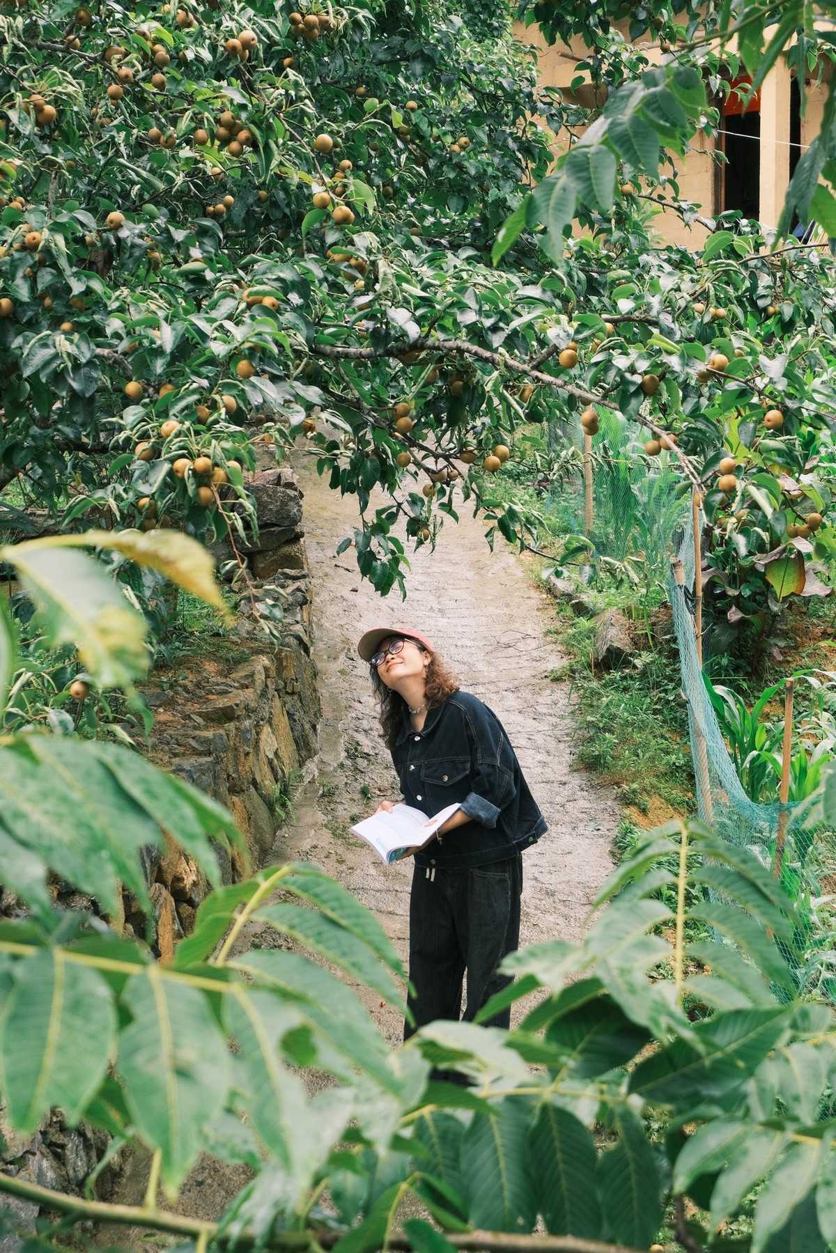 Sáng sớm, chỉ cần mở cửa là thấy biển mây bồng bềnh dưới thung lũng, xa xa là tiếng chim gọi nhau thức giấc – một khung cảnh vừa hùng vĩ vừa yên an. Ảnh Hà Anh