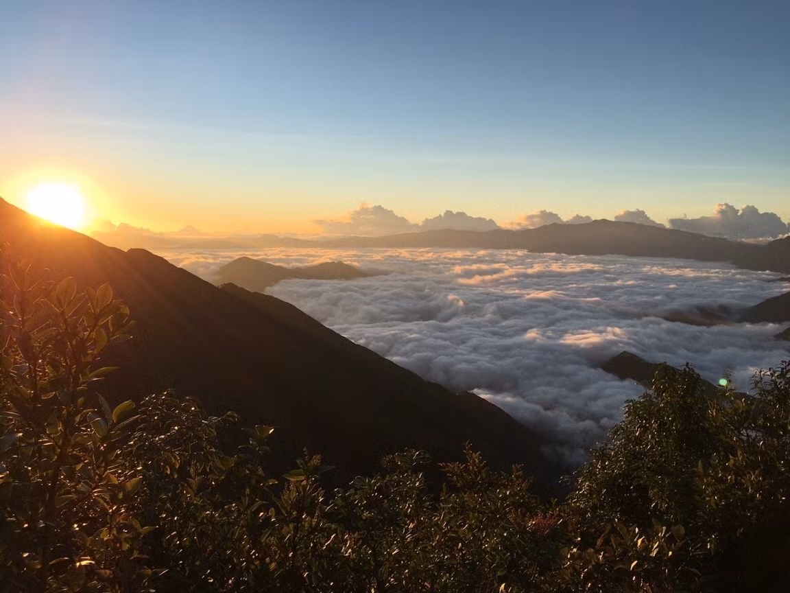Sang xuân, hoa mận, hoa đào nở rộ, điểm sắc hồng trắng trên triền núi. Đến tháng 9 – tháng 11, ruộng bậc thang quanh bản chuyển vàng óng, tạo nên bức tranh mùa gặt rực rỡ. Dù đến vào thời điểm nào, Cu Vai vẫn khiến người ta mê mẩn bởi vẻ nguyên sơ và bình yên hiếm có. Ảnh Baodantoc