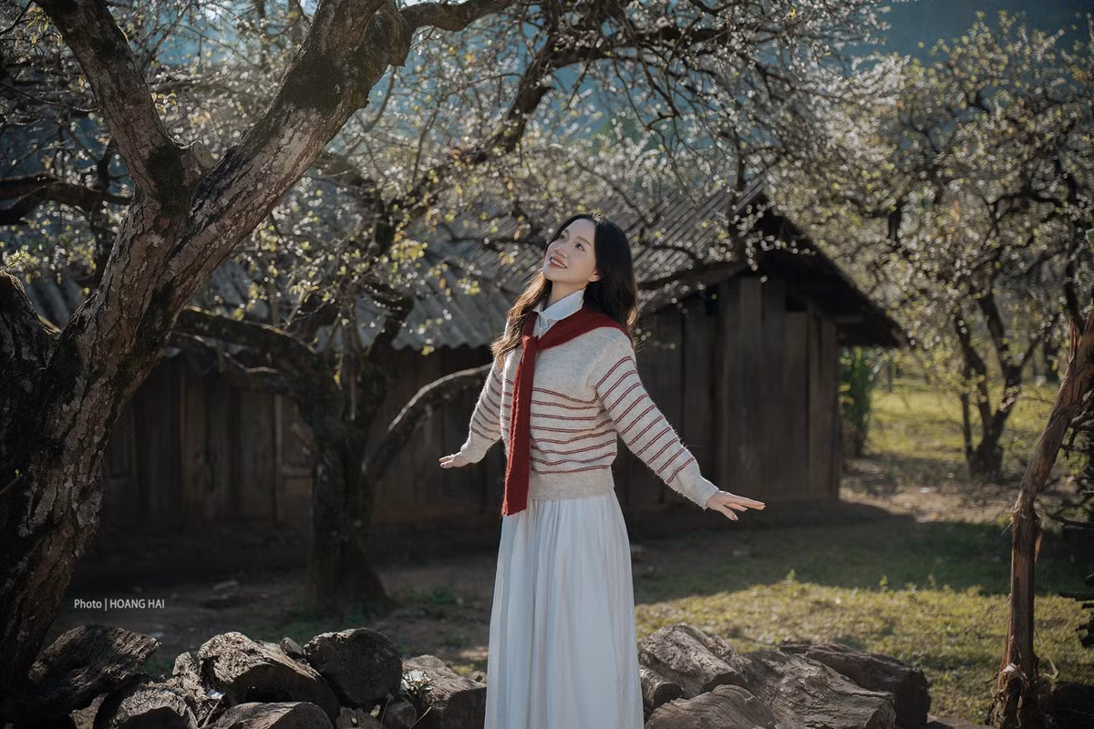 Mỗi độ xuân về, cao nguyên Mộc Châu (Sơn La) lại bừng sáng trong sắc trắng tinh khôi của hoa mận. Không phô trương rực rỡ, mùa hoa mận mang đến vẻ đẹp bình yên, thuần khiết, níu chân du khách tìm về thiên nhiên và nhịp sống chậm nơi vùng cao Tây Bắc. Ảnh Hoàng Hải