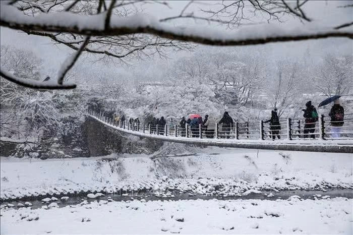 Điểm nhấn đặc biệt của mùa đông Shirakawa-go là sự kiện thắp sáng ban đêm (Light-Up), thường diễn ra vào tháng 1 và tháng 2. Trong những đêm này, cả ngôi làng được chiếu sáng bởi hàng trăm ánh đèn, tạo nên khung cảnh huyền ảo, lãng mạn, thu hút đông đảo du khách. Từ các điểm quan sát trên cao, toàn cảnh Shirakawa-go hiện ra đẹp như tranh vẽ, khiến bất cứ ai cũng khó lòng rời mắt. Ảnh TTXVN