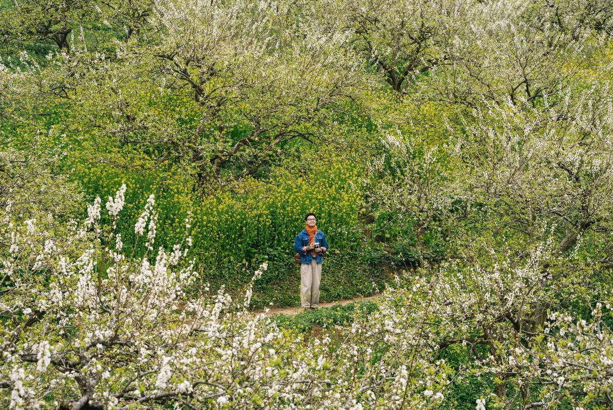 Hiện nay, nhiều vườn mận mở cửa đón khách tham quan, chụp ảnh với mức phí phổ biến khoảng 40.000 đồng/người. Bên cạnh việc ngắm hoa, du khách còn có thể thuê trang phục dân tộc, thưởng thức đặc sản vùng cao hoặc tham gia các hoạt động trải nghiệm đời sống bản địa. Ảnh Quang Kiên