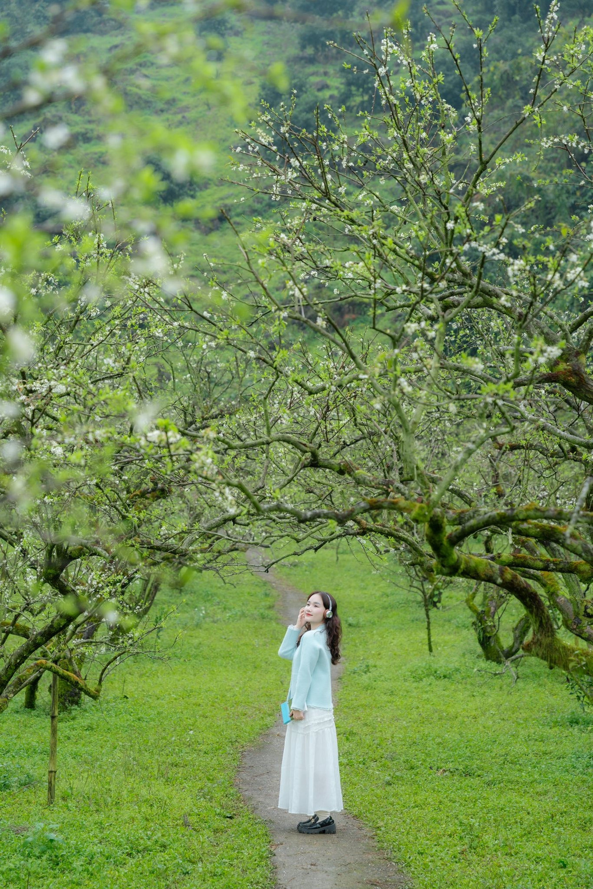 Với những du khách yêu thiên nhiên, việc cắm trại qua đêm giữa vườn mận cũng là lựa chọn đáng thử để trọn vẹn cảm nhận vẻ đẹp của cao nguyên khi đêm về. Ảnh Fanpage Đi trốn không