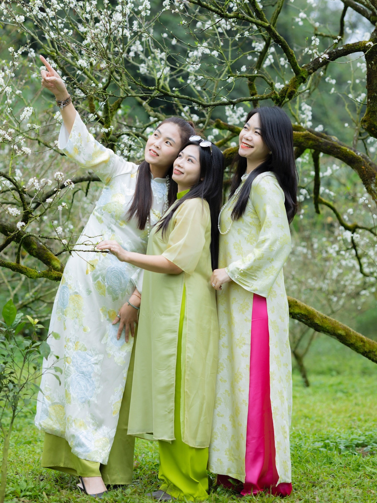 Mùa hoa mận không kéo dài, nhưng đủ để lại dấu ấn sâu đậm trong lòng những ai từng ghé thăm. Giữa sắc trắng tinh khôi và không gian yên bình, Mộc Châu mùa hoa mận trở thành điểm hẹn lý tưởng cho những chuyến du xuân, tìm về thiên nhiên và sự an yên nơi miền cao nguyên. Ảnh Fanpage Đi trốn không