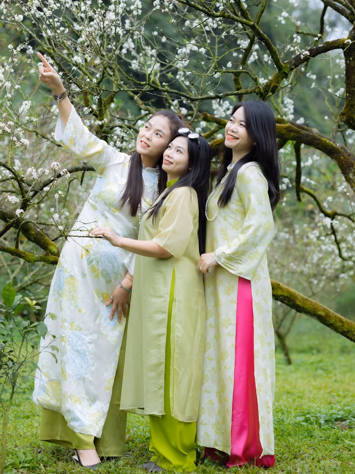 Mùa hoa mận không kéo dài, nhưng đủ để lại dấu ấn sâu đậm trong lòng những ai từng ghé thăm. Giữa sắc trắng tinh khôi và không gian yên bình, Mộc Châu mùa hoa mận trở thành điểm hẹn lý tưởng cho những chuyến du xuân, tìm về thiên nhiên và sự an yên nơi miền cao nguyên. Ảnh Fanpage Đi trốn không