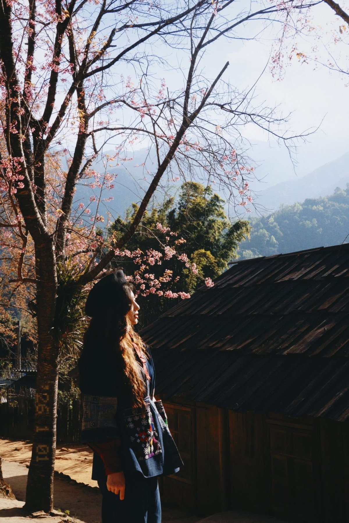 Không chỉ dừng lại ở trải nghiệm ngắm hoa, hành trình đến Phà Nọi còn mang đến cho du khách cơ hội khám phá đời sống văn hóa bản địa. Những sinh hoạt giản dị, không gian yên tĩnh và sự hiếu khách của người dân giúp chuyến đi trở nên trọn vẹn hơn. Nhiều du khách lựa chọn kết hợp tham quan Phà Nọi với các cung đường biên giới, những bản làng lân cận của Mường Típ – Kỳ Sơn để cảm nhận rõ hơn vẻ đẹp hoang sơ của miền Tây xứ Nghệ.