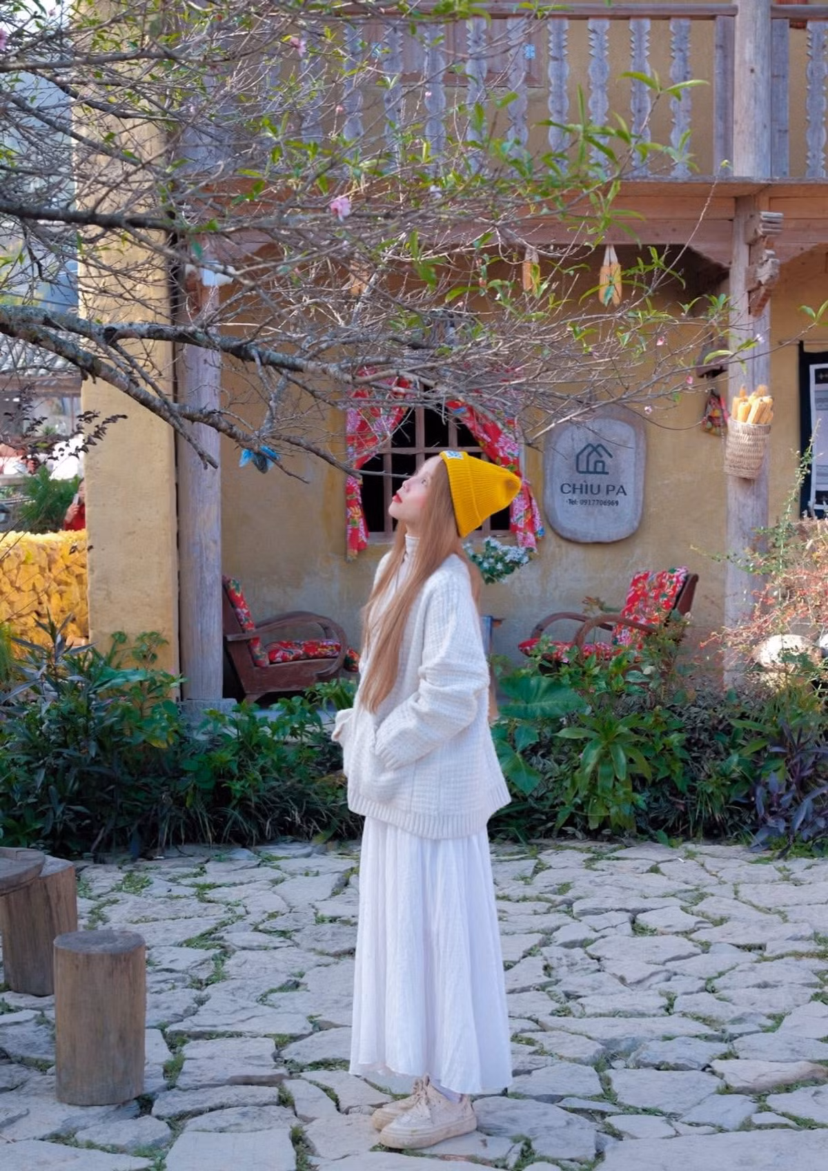 Mùa tam giác mạch là thời điểm đẹp nhất trong năm để thưởng ngoạn Tuyên Quang. Ảnh Aki Lan