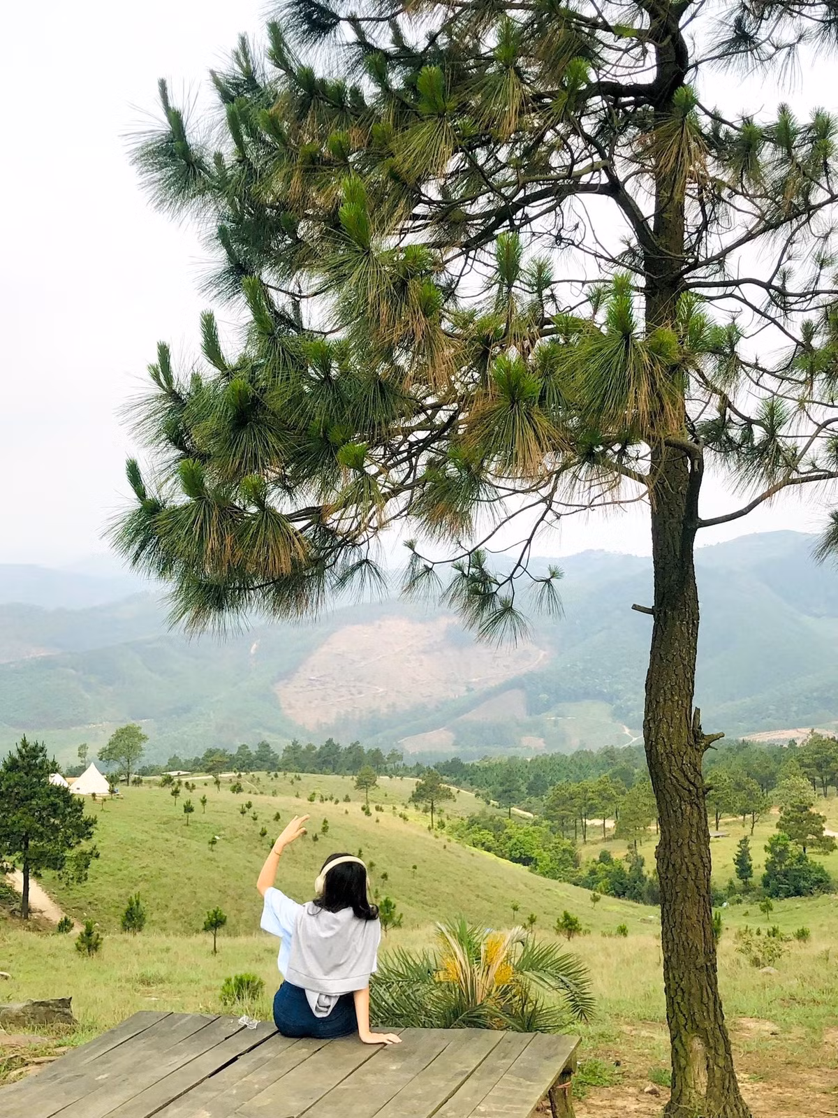 Không cần kỳ nghỉ dài ngày hay ngân sách quá lớn, du khách hoàn toàn có thể khám phá đỉnh Phượng Hoàng chỉ trong 1–2 ngày cuối tuần. Tuy nhiên, với những người ít kinh nghiệm, lựa chọn đi tour trọn gói sẽ thuận tiện và an toàn hơn. Ảnh 2 con gián