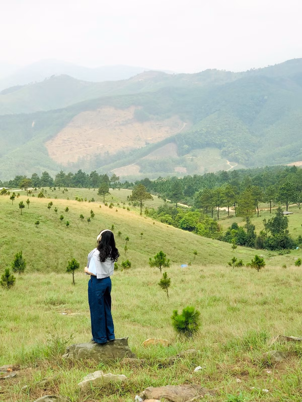 Nằm ở độ cao khoảng 450m so với mực nước biển, đỉnh Phượng Hoàng thuộc phường Uông Bí, tỉnh Quảng Ninh, đang dần trở thành điểm đến yêu thích của nhiều du khách trẻ trong mùa hè này. Nơi đây sở hữu cung đường trekking vừa đủ thử thách, đi qua những tán rừng thông, đồi cỏ, triền núi và mở ra một không gian khoáng đạt với gió trời và mây trắng bồng bềnh. Ảnh 2 con gián