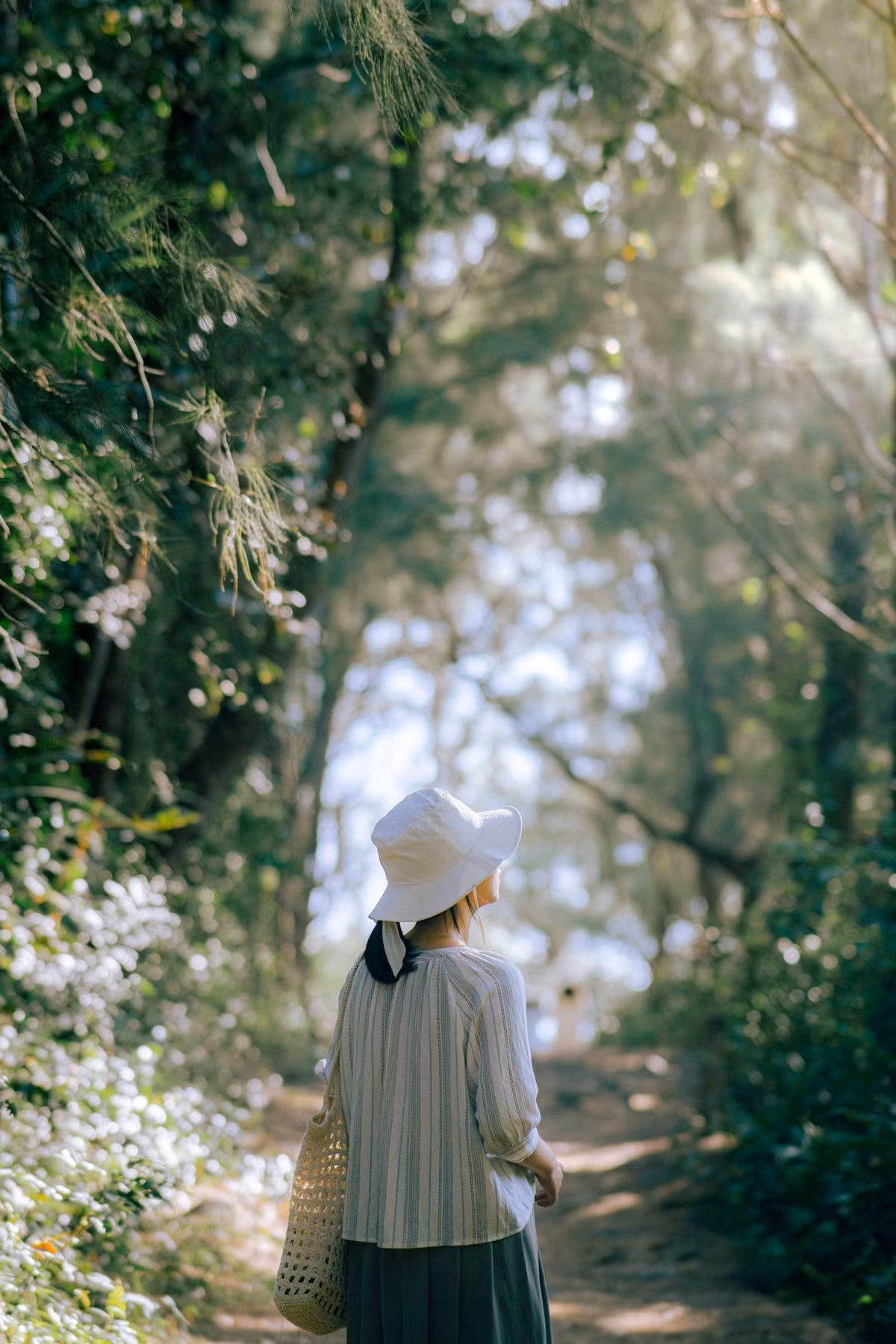 Về lưu trú, hiện khu vực gần Bãi Môn chưa có nhiều dịch vụ nghỉ dưỡng. Du khách có thể lựa chọn các homestay, khách sạn nhỏ tại Tuy Hòa hoặc xã Hòa Tâm rồi di chuyển đến bãi biển vào sáng sớm. Với những người thích trải nghiệm thiên nhiên, việc mang theo lều, đèn pin và đồ ăn để cắm trại qua đêm tại Bãi Môn là một gợi ý đáng thử. Tuy nhiên, cần lưu ý giữ vệ sinh môi trường và tuân thủ quy định tại khu vực quản lý hải đăng. Ảnh Công Lợi