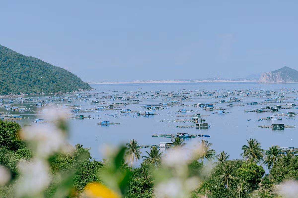 Điều đặc biệt nhất khiến Bãi Môn trở thành điểm đến hấp dẫn với những người mê khám phá chính là khoảnh khắc đón bình minh. Ảnh Công Lợi