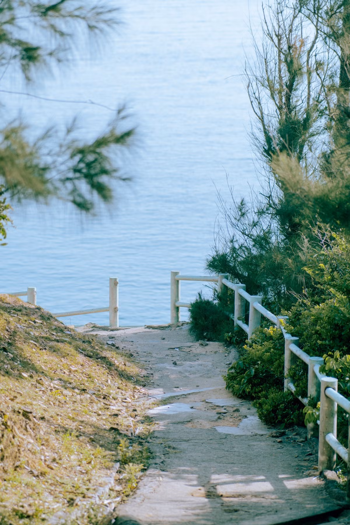 Không có khách sạn cao tầng, không hàng quán chen chúc, du khách đến đây thường chọn cắm trại qua đêm, đốt lửa trại, tổ chức tiệc BBQ nhỏ bên bờ biển và ngắm sao trời. Bãi biển ở đây sạch và an toàn, nước biển trong như ngọc, sóng vừa phải, rất phù hợp cho các hoạt động tắm biển, chèo SUP, hoặc chỉ đơn giản là nằm dài đọc sách và thư giãn. Ảnh Công Lợi