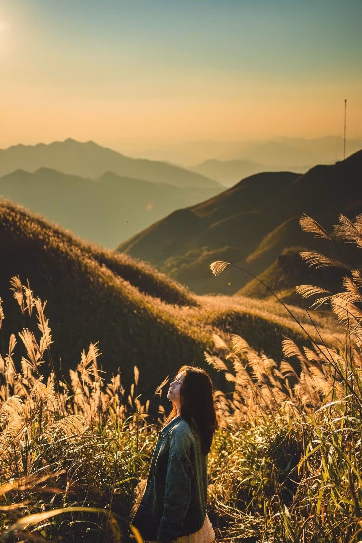 Nhiều bạn trẻ lựa chọn trekking hoặc thuê xe máy để chinh phục con đường này, tận hưởng cảm giác đứng giữa biển mây, gió và cỏ lau bồng bềnh. Ảnh Nguyễn Hồng Nhật