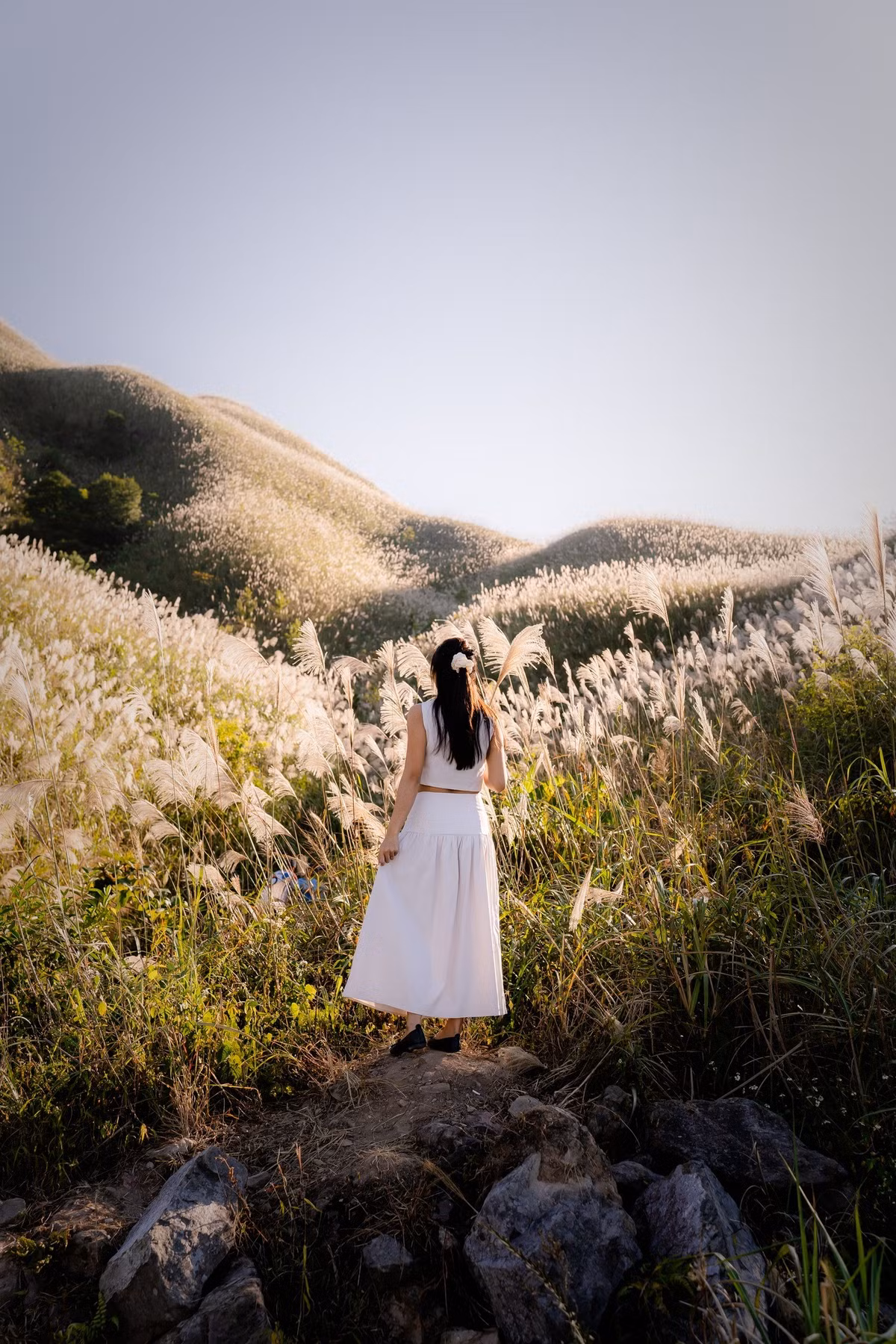 Bình Liêu được mệnh danh là “Sapa thu nhỏ” của vùng Đông Bắc, mùa cỏ lau thường kéo dài từ cuối tháng 10 đến giữa tháng 11 toàn bộ sườn núi, thung lũng và các đường tuần tra biên giới đều được phủ trắng bởi hàng triệu bông lau nở rộ. Ảnh Ba Đứa Mình