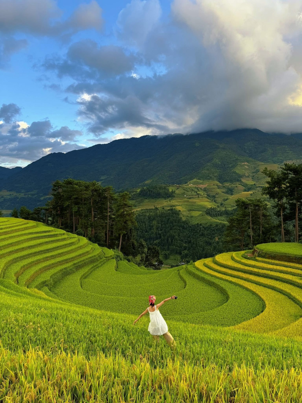 Mù Cang Chải (Lào Cai) là điểm dừng tiếp theo, nổi tiếng với mùa lúa chín rực rỡ. Bản Lao Chải vào buổi sáng như khoác lên mình tấm áo vàng óng ánh, kết hợp không khí trong lành và núi non trùng điệp tạo nên bức tranh thiên nhiên sống động. Ảnh Lam Anh