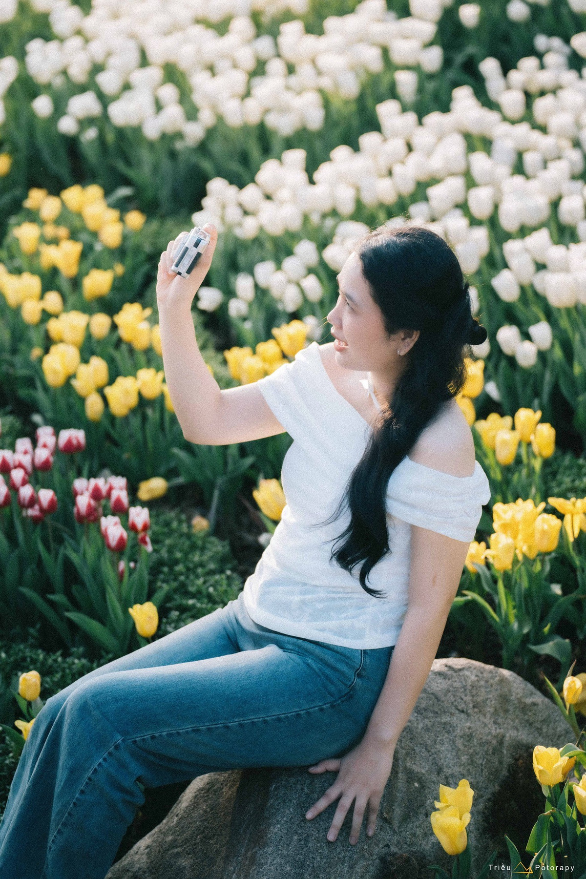 Theo ban quản lý, lễ hội hoa tulip trên núi Bà Đen diễn ra từ ngày 16/2 đến 20/3. Ảnh Triều Potoraphy