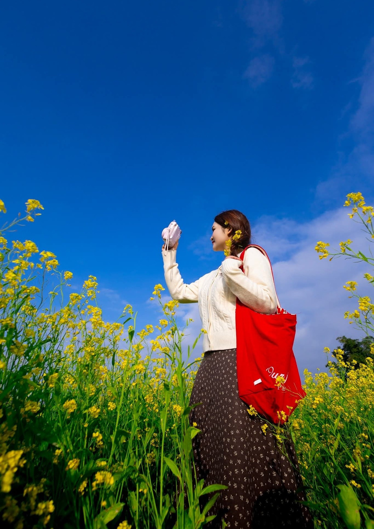 Dạo bước giữa cánh đồng hoa cải, hít thở không khí trong lành, nhiều du khách cho biết họ cảm nhận rõ sự thư thái, dễ chịu – một trải nghiệm khác biệt so với những chuyến du lịch sôi động. Ảnh Lê Hải