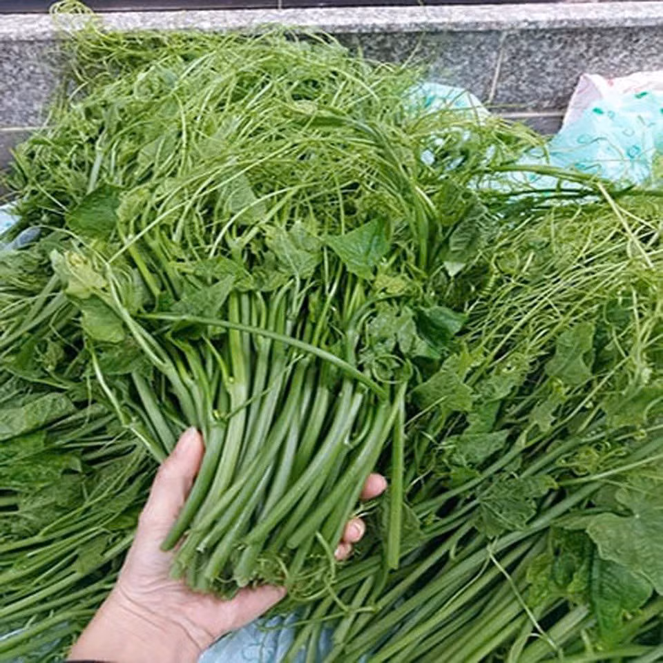 Rau cũng giàu canxi và khoáng chất, hỗ trợ xương chắc khỏe, phòng ngừa loãng xương. Vitamin C dồi dào trong rau còn tăng cường hệ miễn dịch, chống oxy hóa và giúp làm đẹp da. Ảnh minh họa