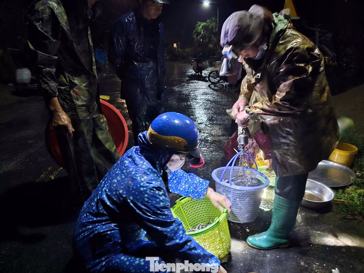 Xuồng máy từ các cánh đồng xa lạch tạch tiến về bến, mang theo cá, tôm, cua, lươn… để các tiểu thương lựa chọn và phân phối. Mỗi giao dịch chỉ diễn ra trong khoảng 20 phút, không cần ngả giá nhiều vì mỗi người bán đều có mối quen riêng. Ảnh Báo Tiền Phong