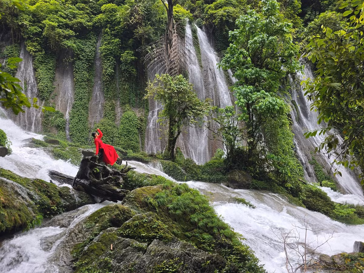 Qua những đoạn rừng thưa là thảm thực vật rậm rạp, cây cổ thụ đan tán che nắng, suối nhỏ len lỏi dưới chân. Tiếng chim rừng, tiếng gió thổi qua lá, tiếng nước róc rách theo chân người đi – tất cả tạo nên bản hòa âm dịu dàng của núi rừng Tây Bắc. Ảnh Cu Porter