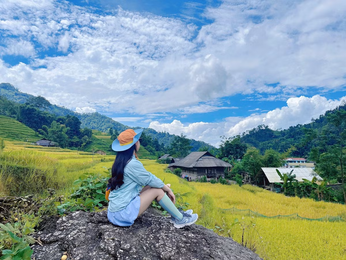 Những thửa ruộng dẫn vào xã Thông Nguyên bắt đầu ngả vàng từ đầu tháng 9. Thời điểm cuối tháng được đánh giá là đẹp nhất, khi lúa đã chín đều, ánh nắng chiều rọi lên những bậc thang tạo nên những mảng màu rực rỡ.