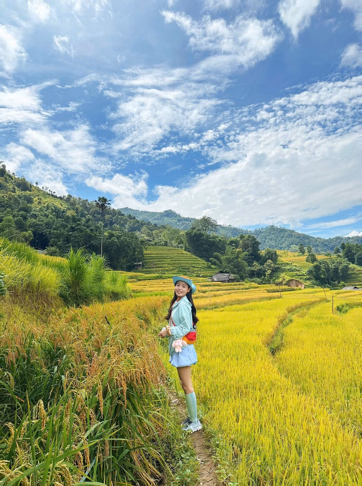 Mỗi mùa lúa chín, Hoàng Su Phì thu hút đông đảo du khách và nhiếp ảnh gia từ khắp nơi, muốn ghi lại khoảnh khắc biển lúa vàng uốn quanh núi non hùng vĩ. Ảnh Công Lê