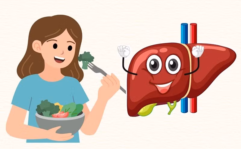 Vào mùa lạnh, gan cũng phải hoạt động tích cực hơn để xử lý chất béo, rượu bia và các chất dư thừa trong cơ thể. Khi đó, các loại rau cải – giàu chất xơ, vitamin A, C, K và nhiều hợp chất chống oxy hóa – trở thành “trợ thủ xanh” giúp cơ thể tăng cường đào thải, kích thích tiết dịch tiêu hóa và giảm cảm giác nặng bụng sau bữa ăn. Ảnh minh họa