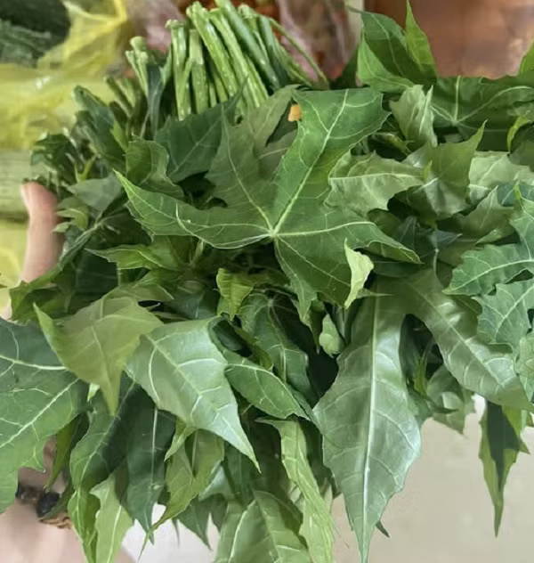 Điểm khiến rau mì chính tạo được sức hút chính là hương vị khác biệt. Khi được nấu chín, rau có độ giòn nhẹ, vị ngọt thanh rõ rệt, không cần nêm nhiều gia vị vẫn vừa miệng. Ảnh Internet