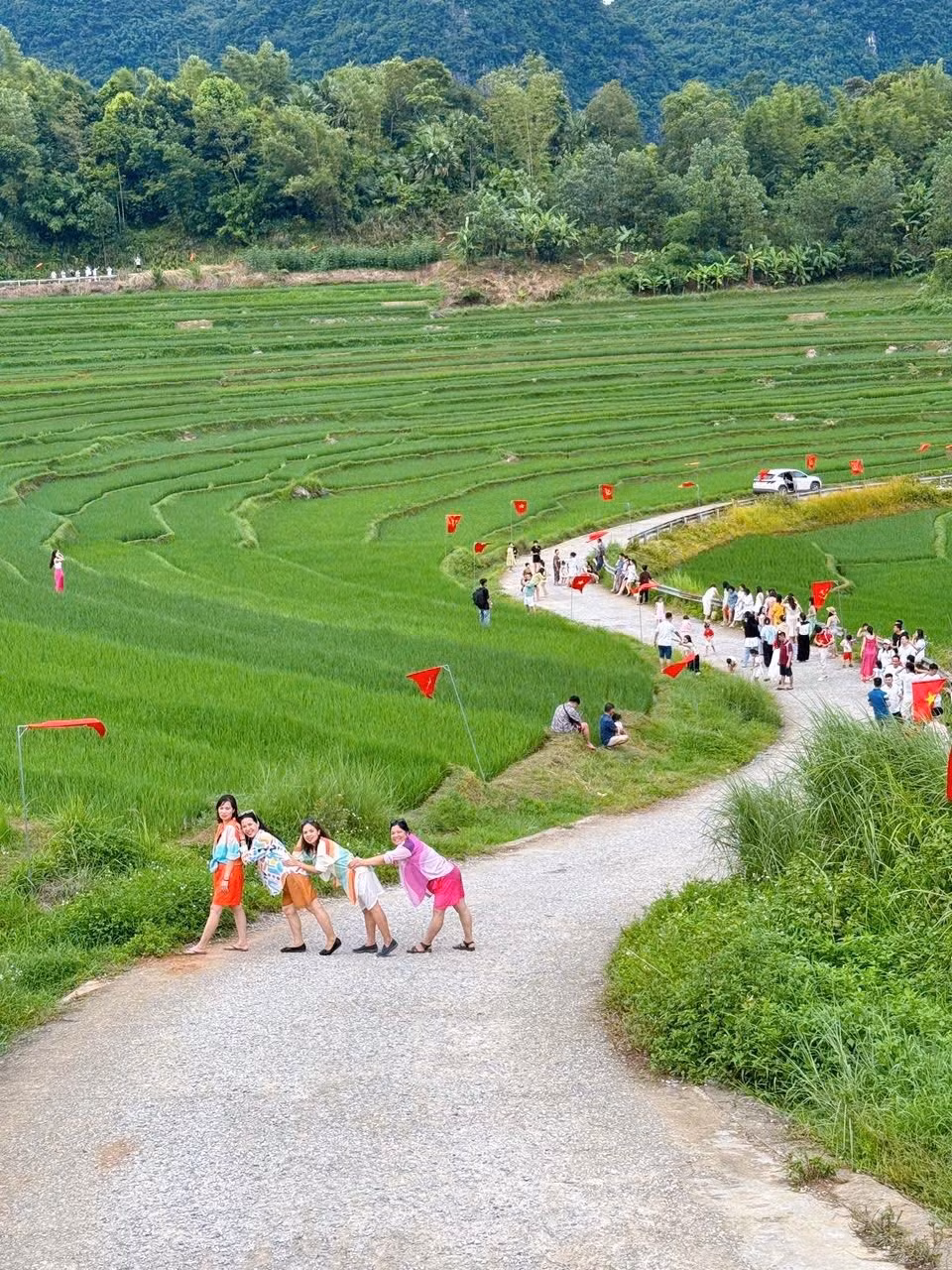 Những ruộng bậc thang xanh mướt, cùng hàng loạt lá cờ Tổ quốc dọc hai bên đường, tạo nên khung cảnh vừa hùng vĩ vừa rực rỡ. Những khúc cua uốn lượn, lên dốc xuống dốc khiến du khách mê mẩn với góc nhìn ngoạn mục, đặc biệt là vào buổi sáng khi sương còn vương trên lá lúa. Ảnh Mist Valley Home