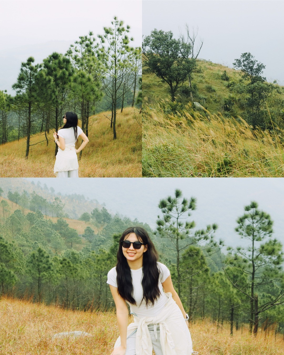 Không giống Đỉnh Phượng Hoàng có thể di chuyển bằng xe máy gần tới đỉnh, Núi Thành Đẳng yêu cầu du khách đi bộ hoàn toàn. Điểm xuất phát thuận tiện nhất là khu vực chùa Ba Vàng. Tại đây, du khách có thể gửi xe miễn phí tại bãi số 2, sau đó men theo lối phía sau chùa. Ảnh 2 con gián Hà Nội