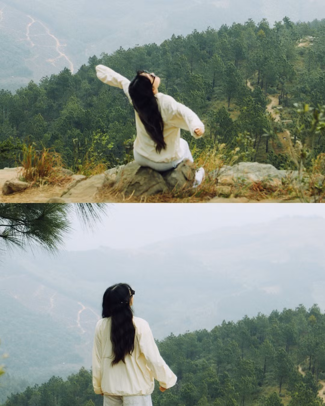 Một số điểm check-in được nhiều người yêu thích gồm: cành cây đổ ven đường tạo dáng tự nhiên, cột cờ Tổ quốc trên đỉnh núi, triền đồi cỏ cháy nhìn xuống toàn cảnh thành phố, hay hồ nước nhỏ nằm chếch bên phải từ khu vực cột cờ, băng qua một quả đồi là có thể bắt gặp. Ảnh 2 con gián Hà Nội