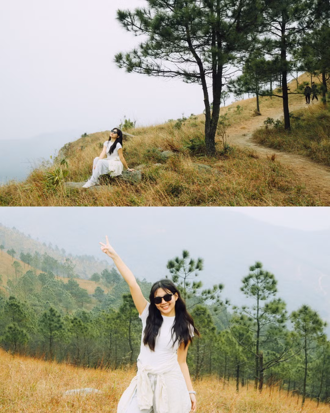 Chính vẻ đẹp này khiến Núi Thành Đẳng trở thành lựa chọn lý tưởng cho những du khách yêu thiên nhiên, thích leo núi nhưng không muốn những cung đường quá thử thách. Ảnh 2 con gián Hà Nội