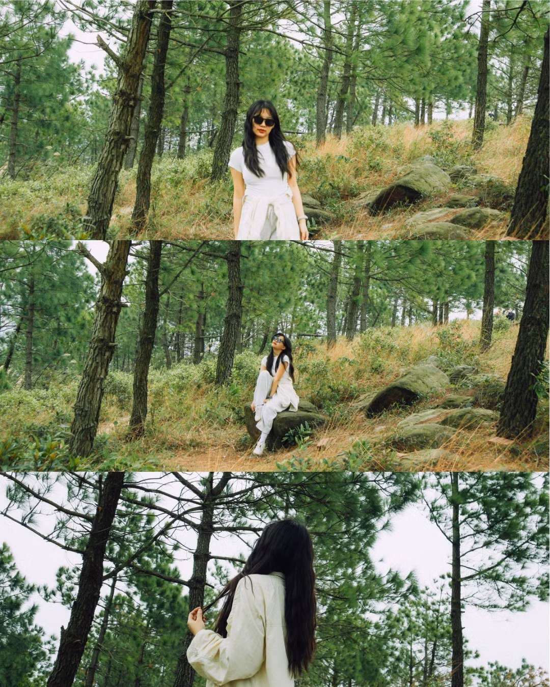 Lối đi lên núi đã được làm bậc đá khá rõ ràng, chỉ cần đi đúng hướng là có thể chạm tới đỉnh mà không lo lạc đường. Thời gian leo, kết hợp nghỉ ngơi và chụp ảnh, thường rơi vào khoảng 1–1,5 tiếng, phù hợp cả với người mới bắt đầu hoặc gia đình có sức khỏe tốt. Ảnh 2 con gián Hà Nội