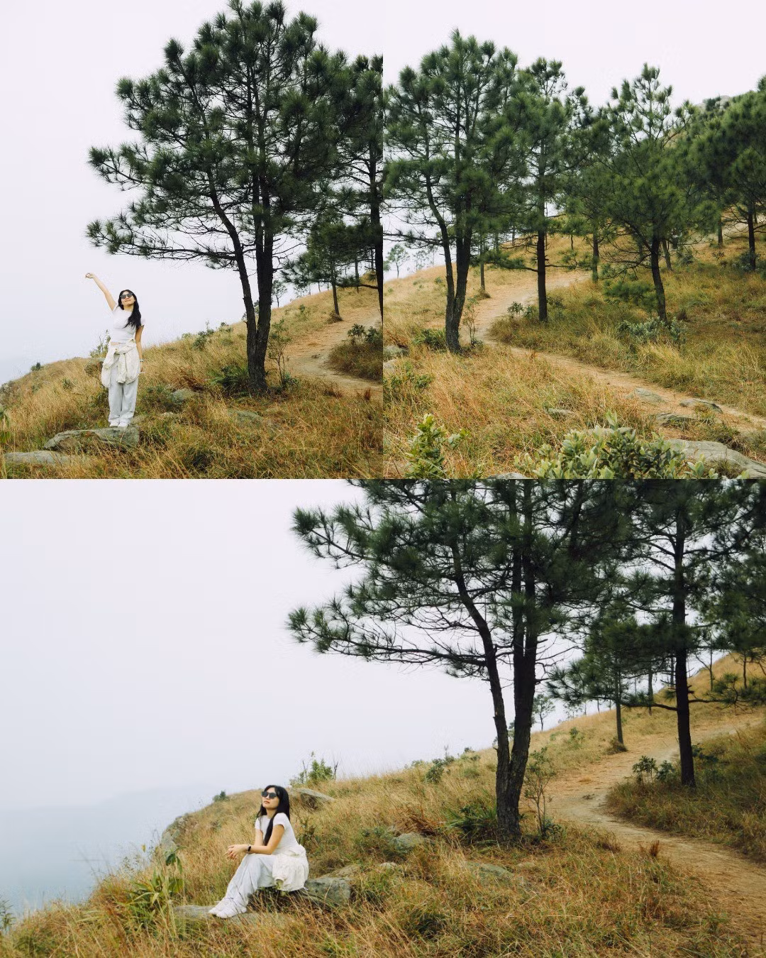 Một trong những điểm cộng lớn của Núi Thành Đẳng là không gian mở và tầm nhìn rộng. Hầu như ở bất kỳ đoạn dừng chân nào trên cung đường, du khách cũng có thể ghi lại những bức ảnh ấn tượng nếu chuẩn bị trang phục phù hợp với “vibe” núi rừng mùa cỏ cháy. Ảnh 2 con gián Hà Nội