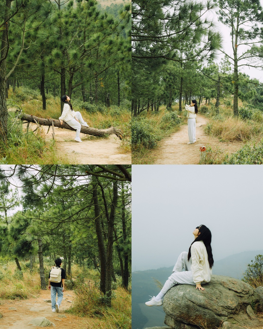 Khác với sắc xanh mướt vào mùa mưa, Núi Thành Đẳng mùa đông mang gam màu trầm ấm của cỏ cháy, trải dài theo sườn núi và đỉnh cao. Dưới ánh nắng nhạt cuối năm, những triền cỏ vàng óng ánh, kết hợp cùng bầu trời xanh nhạt và gió lộng, tạo nên khung cảnh mang đậm chất “điện ảnh”. Ảnh 2 con gián Hà Nội