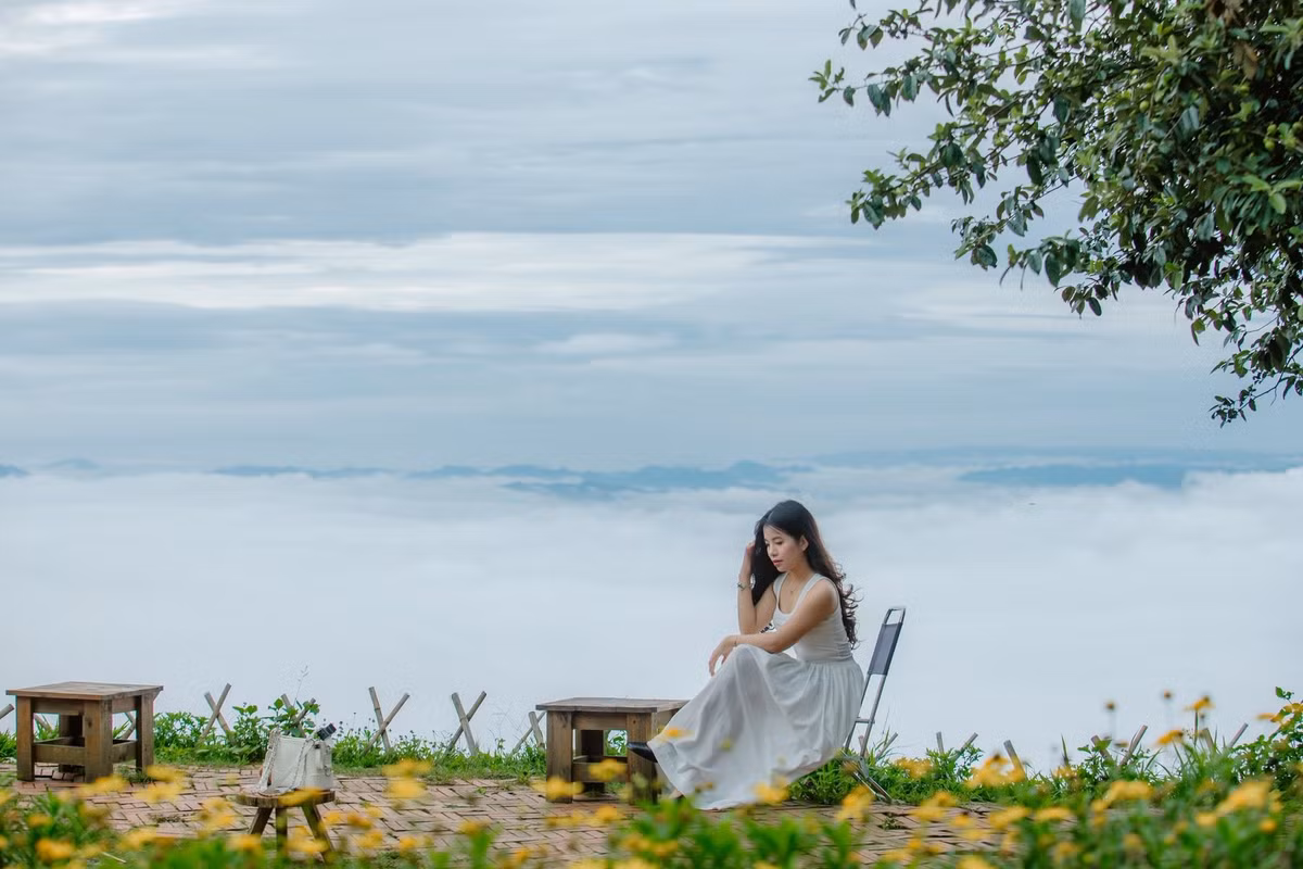 Nếu có nhiều thời gian, bạn có thể chinh phục đỉnh Tà Xùa cao 2.865m, băng qua rừng nguyên sinh, suối nhỏ và thảm thực vật phong phú. Đây không chỉ là hành trình trekking hấp dẫn mà còn là cơ hội để du khách cảm nhận trọn vẹn vẻ đẹp nguyên sơ của núi rừng Tây Bắc. Ảnh Bích Phương