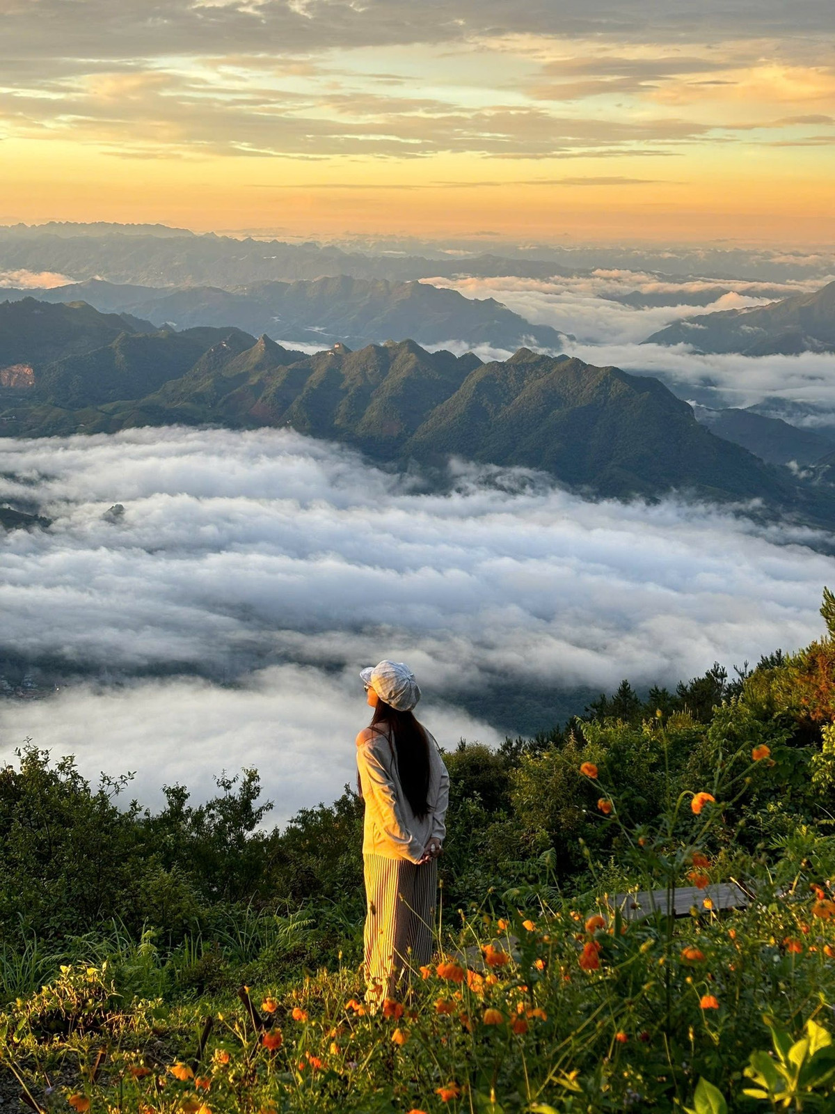 Đường đi thử thách nhưng đầy trải nghiệm Tà Xùa cách Hà Nội khoảng 200km, thường mất từ 5 – 6 tiếng di chuyển. Du khách có thể đi xe khách đến thị trấn Bắc Yên (Sơn La), sau đó thuê xe máy vượt đoạn đèo dài 15km lên trung tâm xã Tà Xùa. Đường đi tuy dốc và nhiều khúc cua hiểm trở, nhưng đổi lại là khung cảnh ngoạn mục – nơi mây trôi sát mặt đường và rừng thông bạt ngàn trải dài.